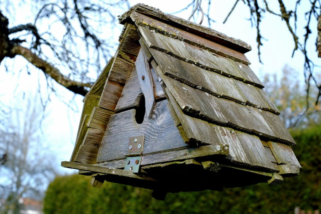 Bird house made with DIY Crafting