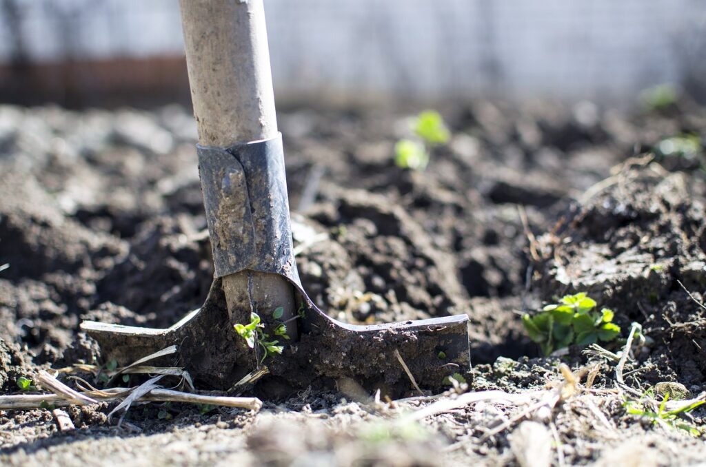 Shovel for DIY Landscaping