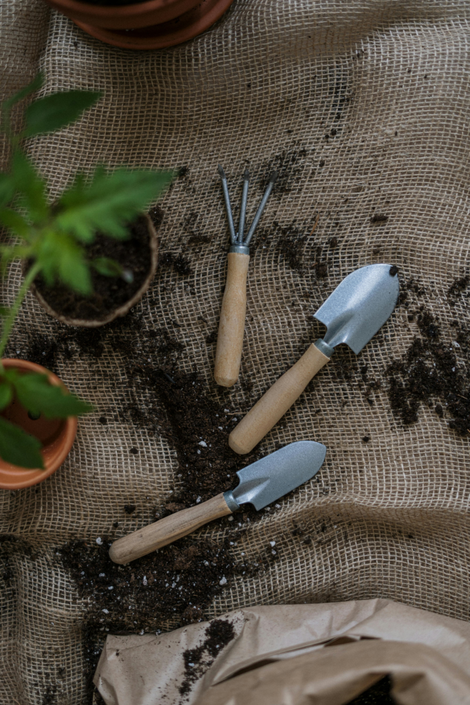 Garden Tools for Simple Gardening Tips