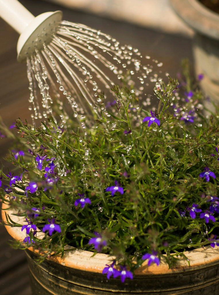 Watering Can with Simple Gardening Tips