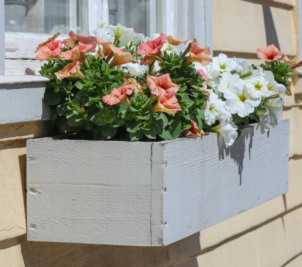 Planter Box from Outdoor Woodworking