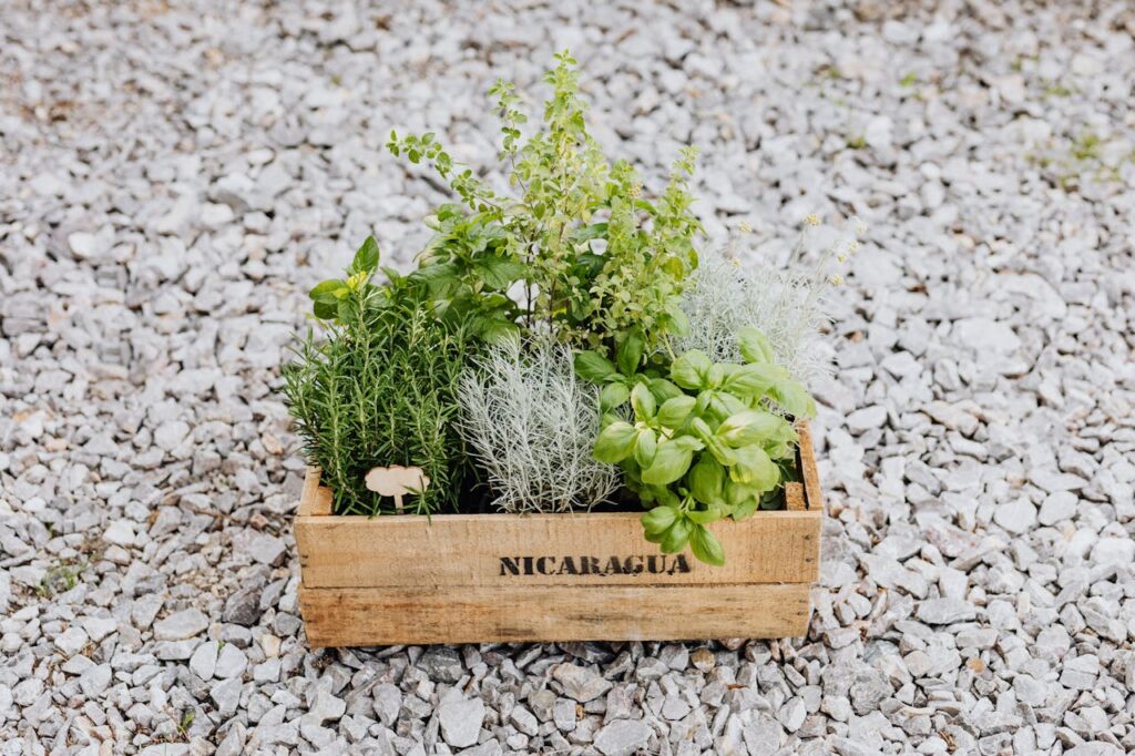 Wooden Crate for Repurposing Items