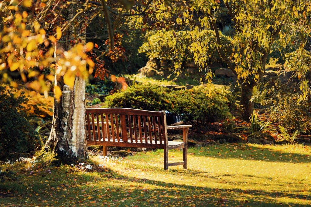 Bench from Outdoor Woodworking