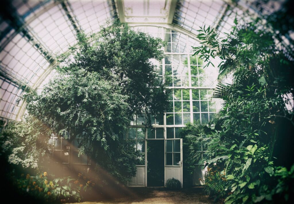 Greenhouse With Plants