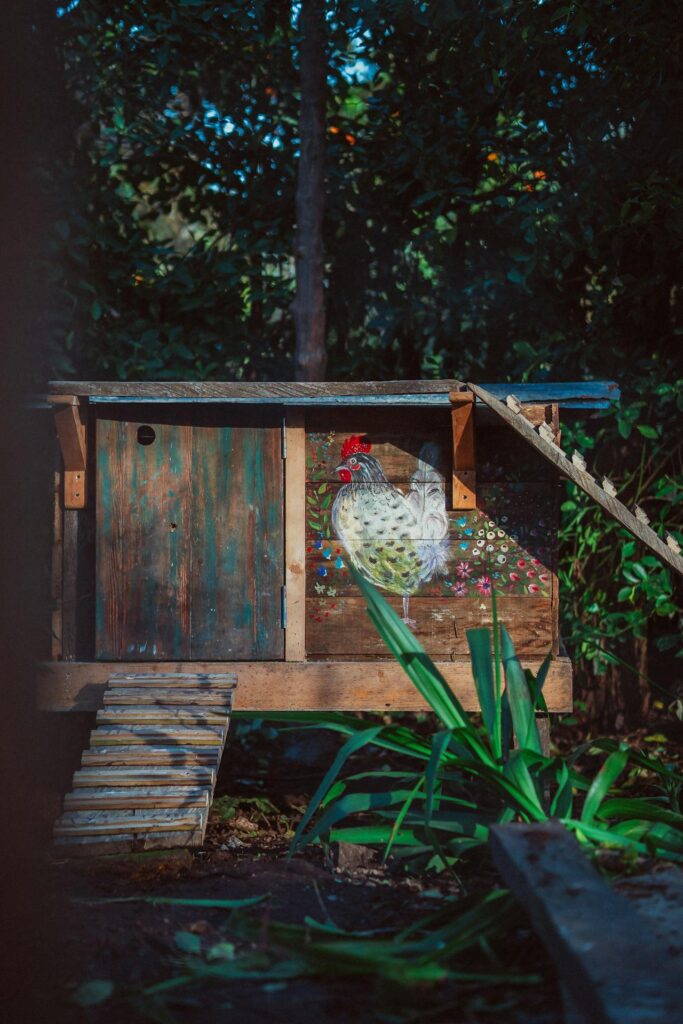 DIY Chicken Coop