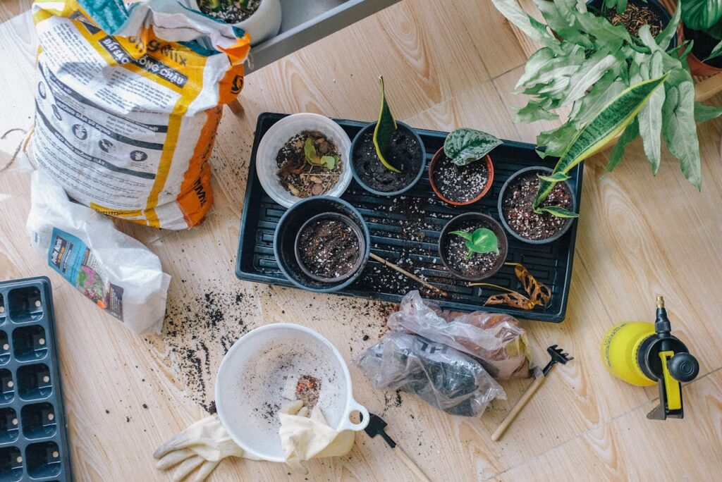 Planting for DIY Indoor Garden